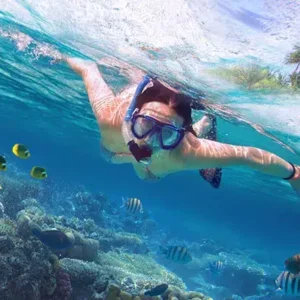  Koh Tao Island Best Snorkeling Spots in Thailand
